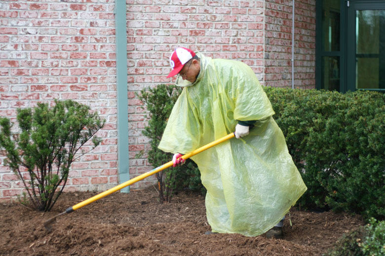 032809-mulch (10).jpg